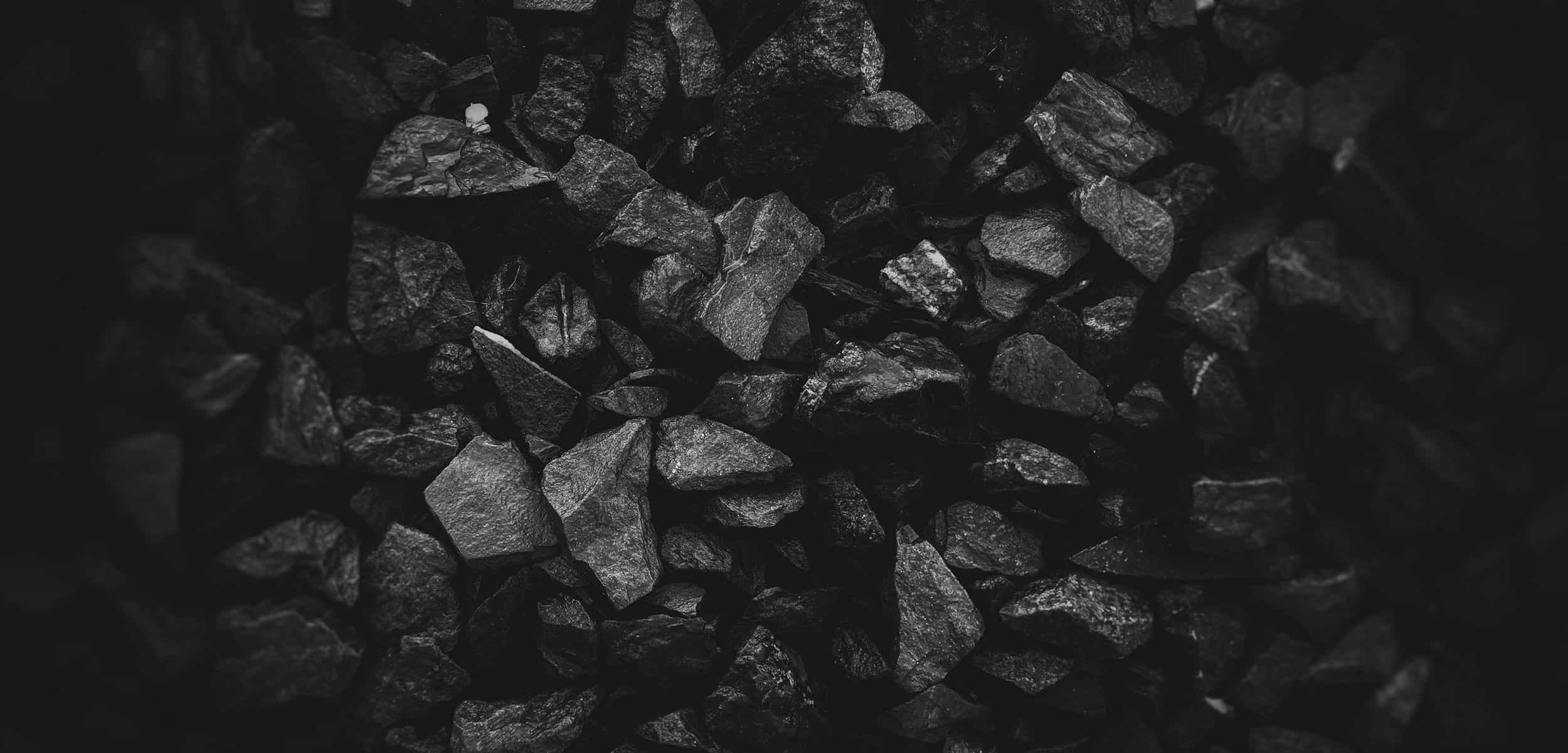 My only regret in life is that I did not drink more wine.’ – Ernest Hemingway, quote displayed on ShareVino homepage.